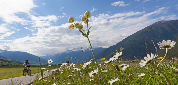 Sommer