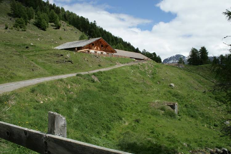Bruggeralm