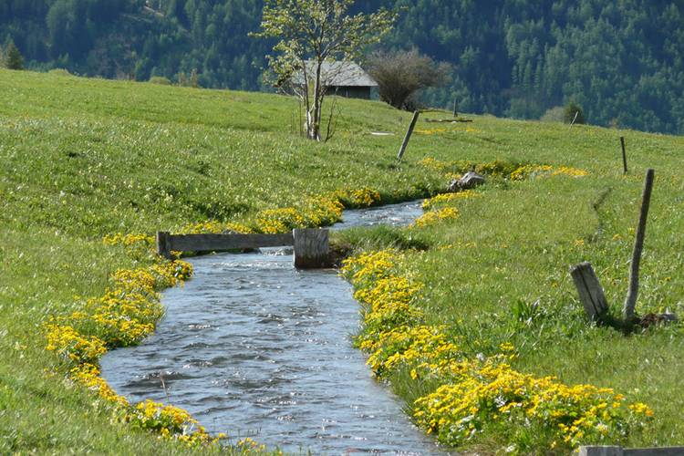 Leiten- und Bergwaal