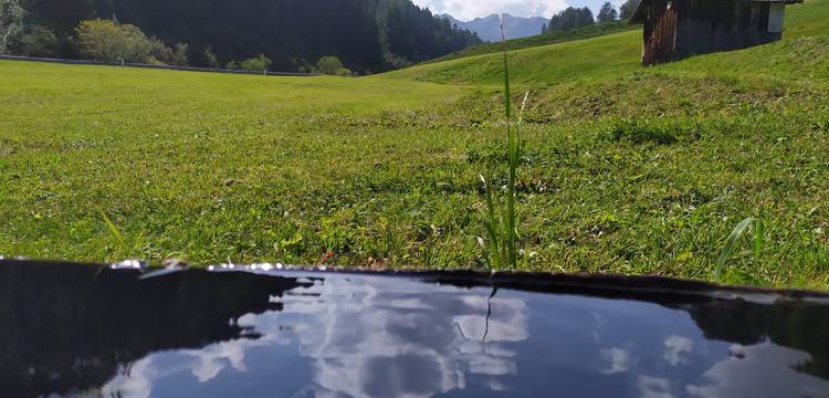 Sommer