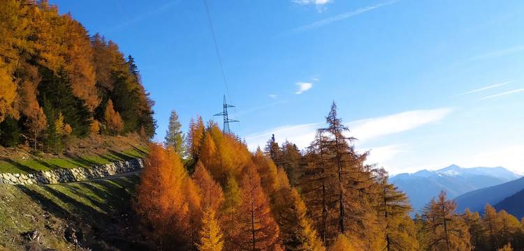 Sommer