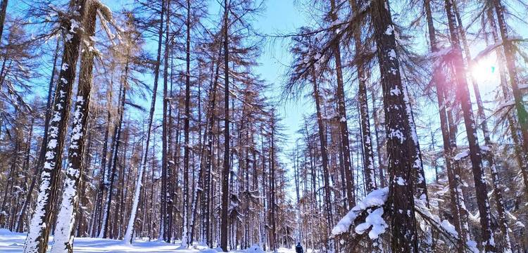 Winter