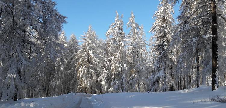 Winter