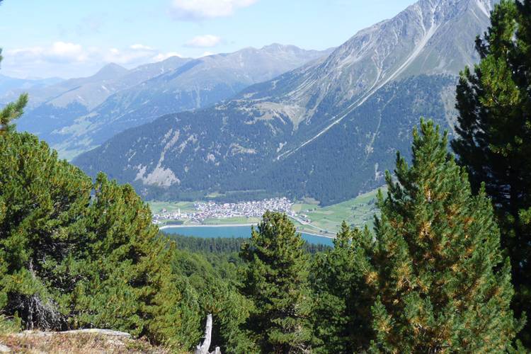 Hoehenweg